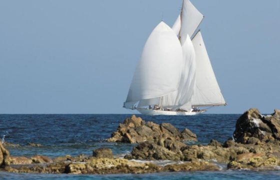 Eleonora