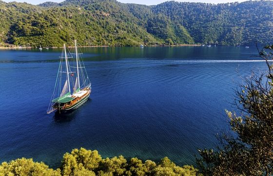 M/S MICHELE