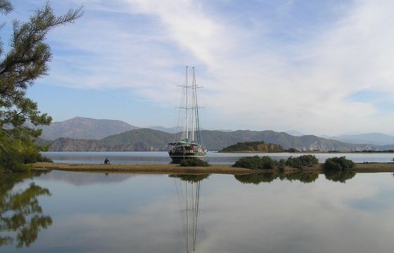 M/S MICHELE