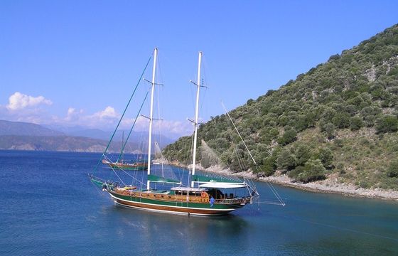M/S MICHELE