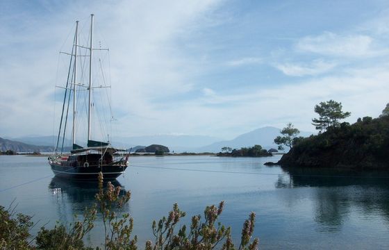 M/S MICHELE