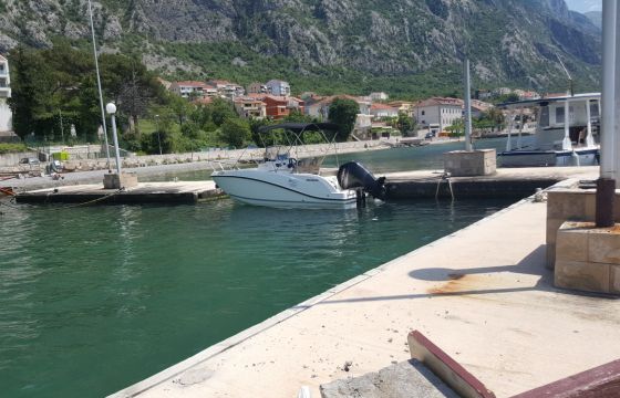 Quicksilver Activ 555