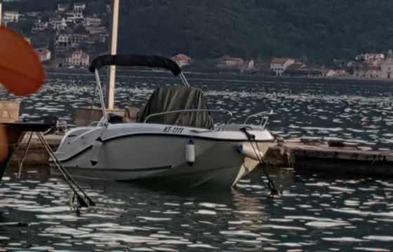 Quicksilver Activ 555