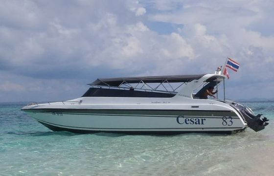 Cesar 83