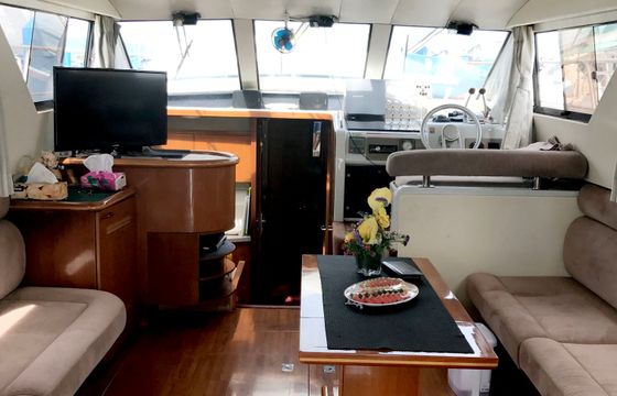 Sea Hawk 47