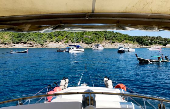 Sea Hawk 47