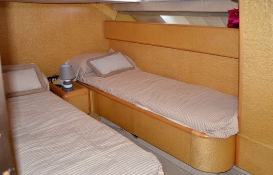 Technema 55