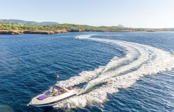 Comanche 40