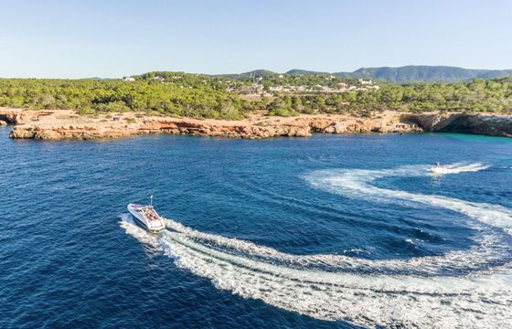 Comanche 40