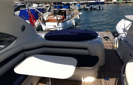 Predator 60
