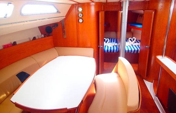 Zircon 50