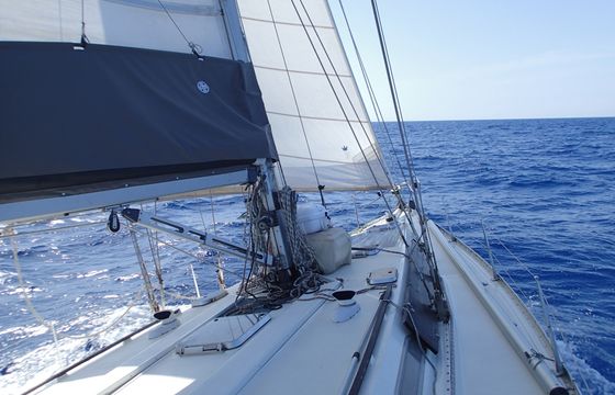 Zircon 50