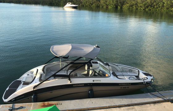 Yamaha 242