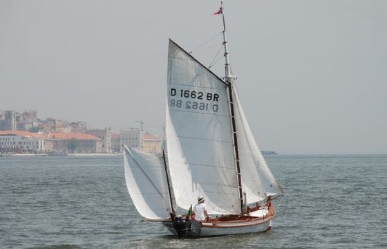 Catraio do Tejo