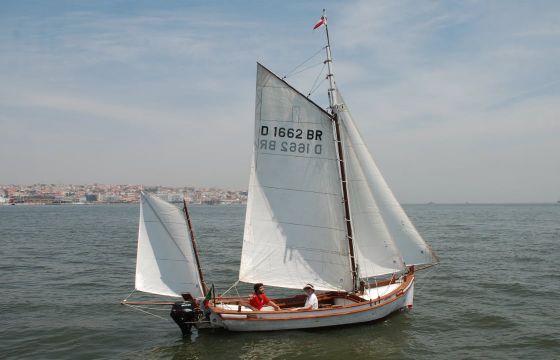Catraio do Tejo