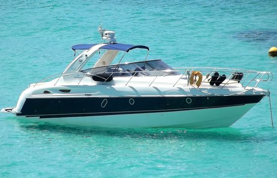Cranchi 41