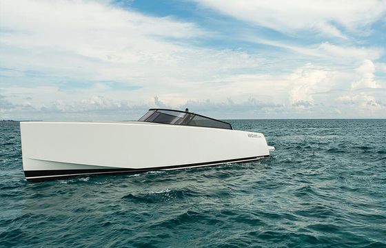 VAN DUTCH 55