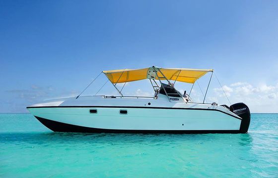 Power Cat 27