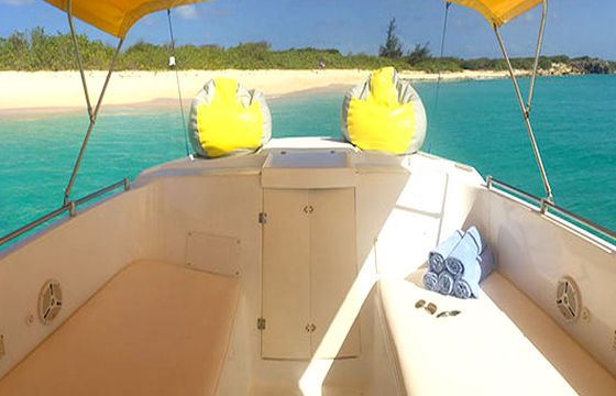 Power Cat 27