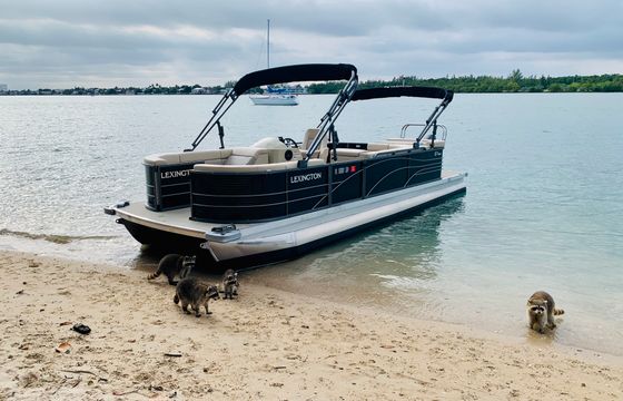 Rent Our Brand New Pontoon To Explore Sunny Miami!