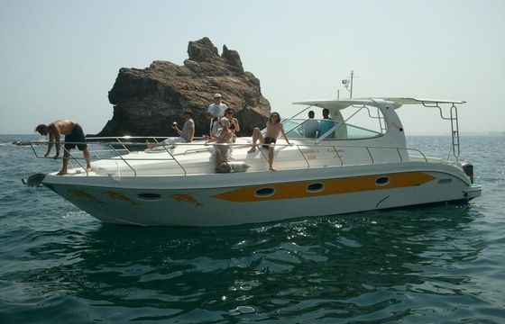 Oryx 40