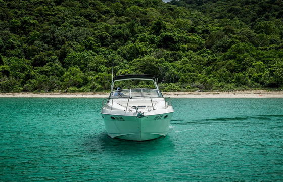 Regal 35