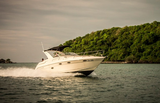 Regal 35