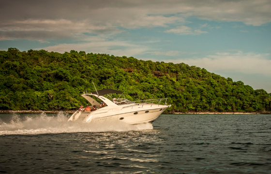 Regal 35