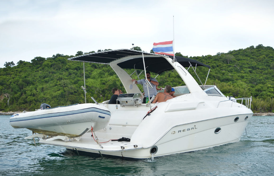 Regal 35