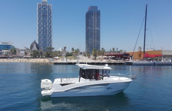 Barracuda 7
