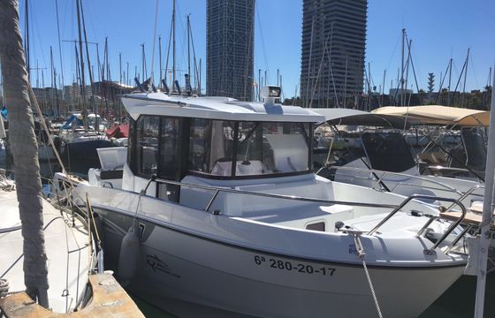 Barracuda 7