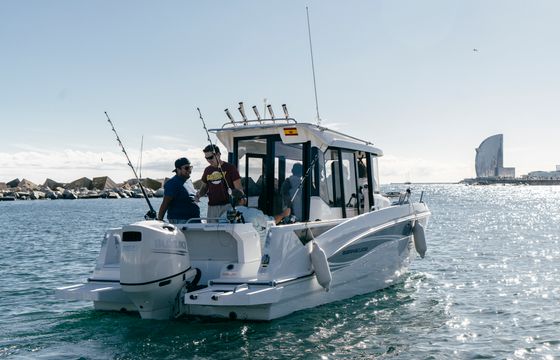 Barracuda 7