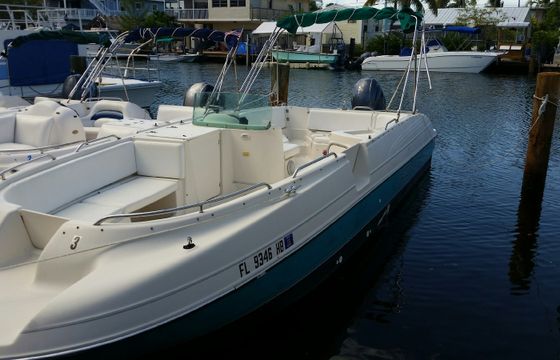 BAYLINER DECK BOAT (Green)