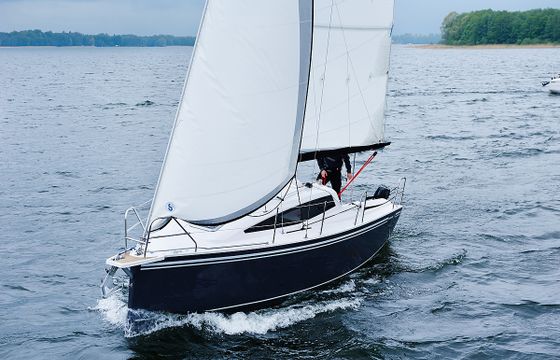 Maxus 26