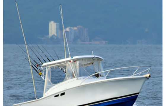 FISHING YACHT - LUHRS 25