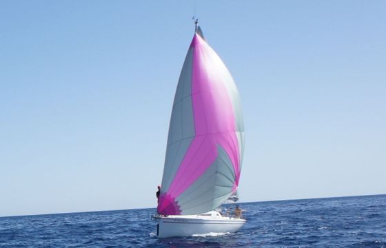 TUCANA 28