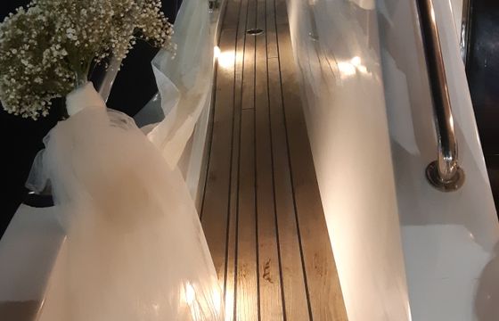 Princess 54