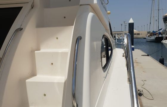 Al Shaali 45