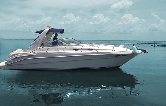 SeaRay 35"