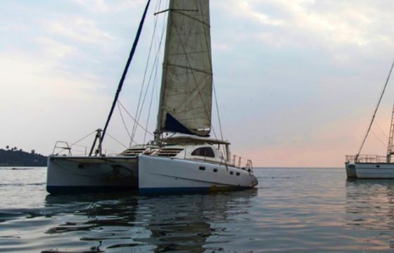 Ruby 43