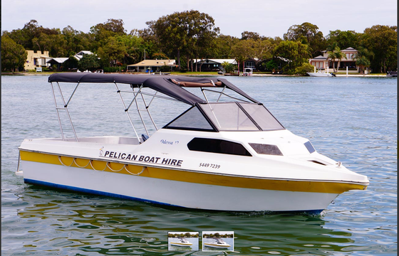 Pelican Medium