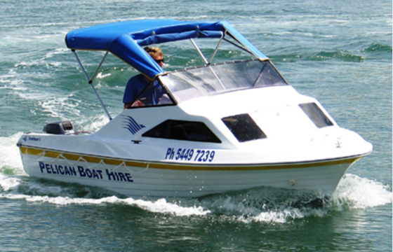 Pelican Small
