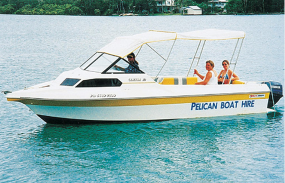 Pelican Large