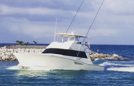 Deep Sea Fishing 53 Viking 
