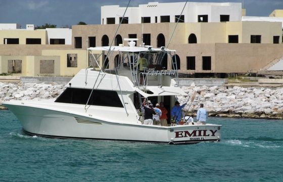 Deep Sea Fishing 53 Viking 
