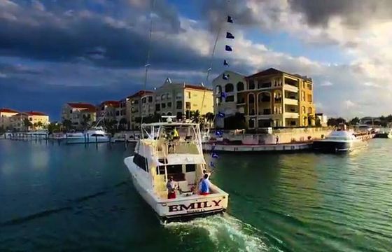 Deep Sea Fishing 53 Viking 