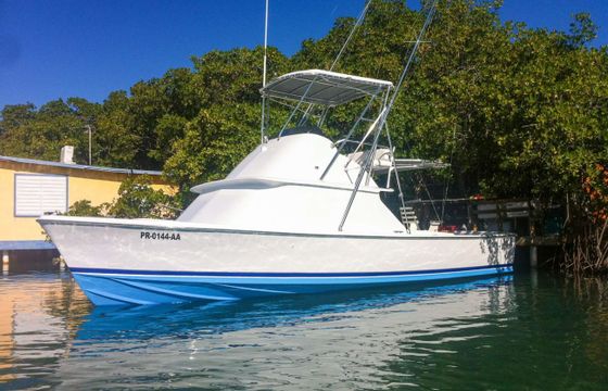 Bertram 31' Sport fisherman