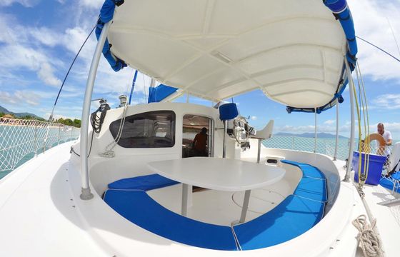 Belize Cat 43