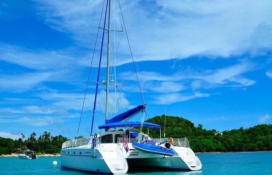 Belize Cat 43