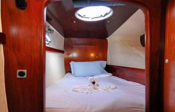 Belize Cat 43